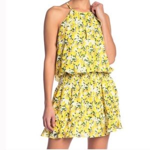 Parker Lemon Dress